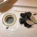 お風呂修理　排水溝のつまり【京都市山科区】