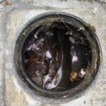 その他修理　汚水マスつまり【大阪府茨木市 】