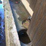 その他修理　下水詰まり【箕面市】　