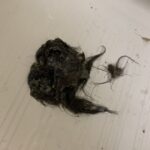 お風呂の修理 排水溝詰まり【大阪府門真市】