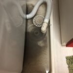 洗面所修理 排水口つまり【愛知県名古屋市熱田区】