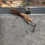 屋外修理　下水詰まり【兵庫県神戸市北区】