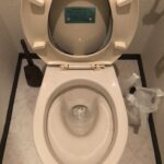 トイレ修理 詰まり【大阪府大東市】