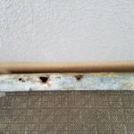 キッチン修理　排水管水漏れ【大阪府堺市堺区】