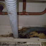 お風呂修理　詰まり【大阪府泉大津市】