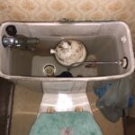 トイレ修理　タンク水漏れ【大阪府池田市】