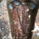 屋外の修理　下水詰まり【愛知県名古屋市南区】