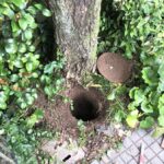 屋外の修理　排水桝・排水管工事【大阪府高槻市】