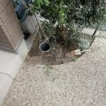 屋外の修理　排水詰まり【大阪府吹田市】