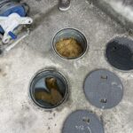 屋外の修理　下水詰まり【大阪府豊中市】