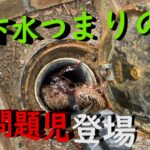 【YouTube】高圧洗浄・下水つまりの『問題児』登場！【三田市】