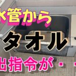 【YouTube】お風呂つまり・排水管からタオルが？【高圧洗浄】