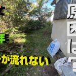 【三田市】トイレが流れない原因は汚水桝に繁殖した木の根っこ